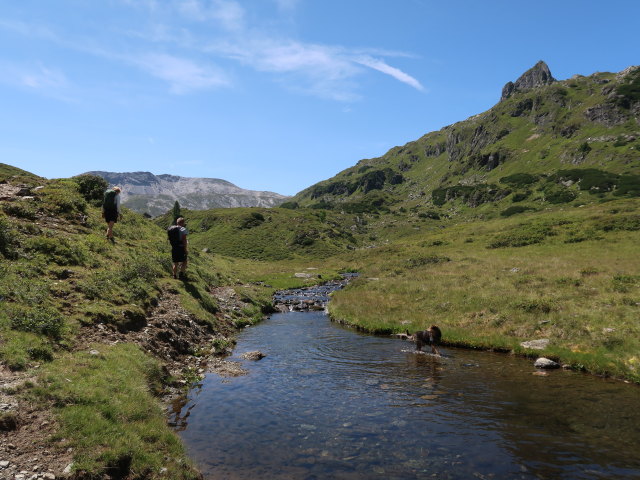 Giglachbach zwischen Unterem Giglachsee und Landauersee (25. Juli)