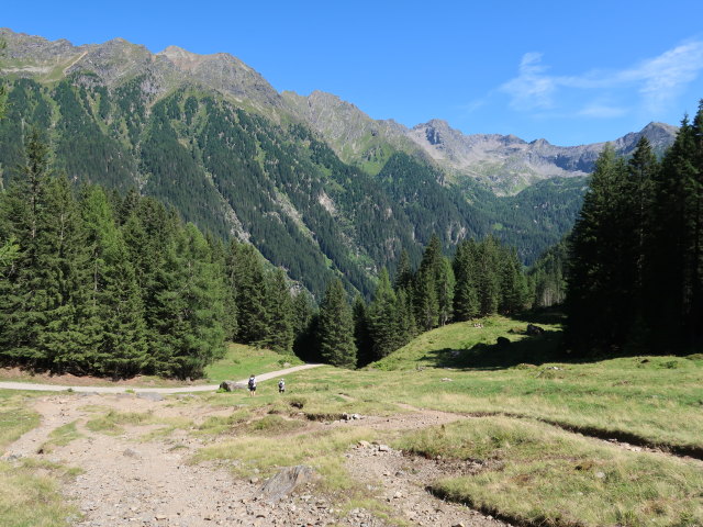 zwischen Duisitzkarsee und Sagh&uuml;tten (25. Juli)