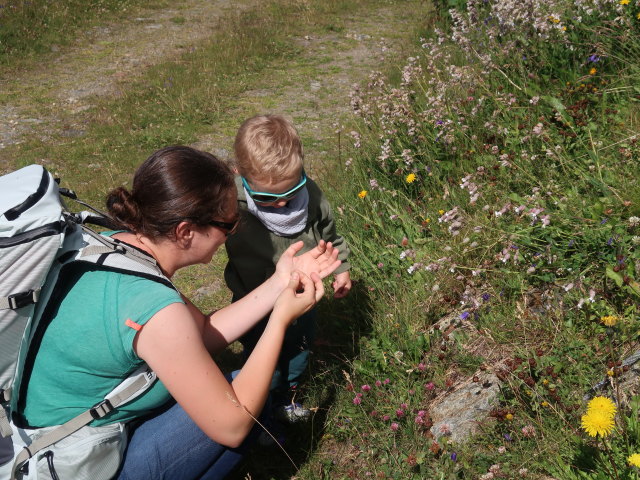 Sabine und Nils am Thurntaler, 2.404 m (28. Juli)