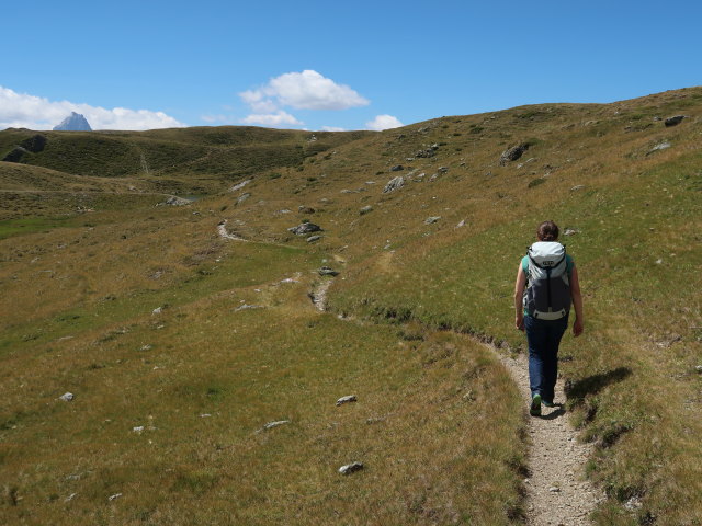 Sabine zwischen Astattsattel und Thurntalersee (28. Juli)