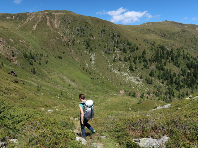 Sabine zwischen Kleinem See und T&ouml;dterbach (28. Juli)