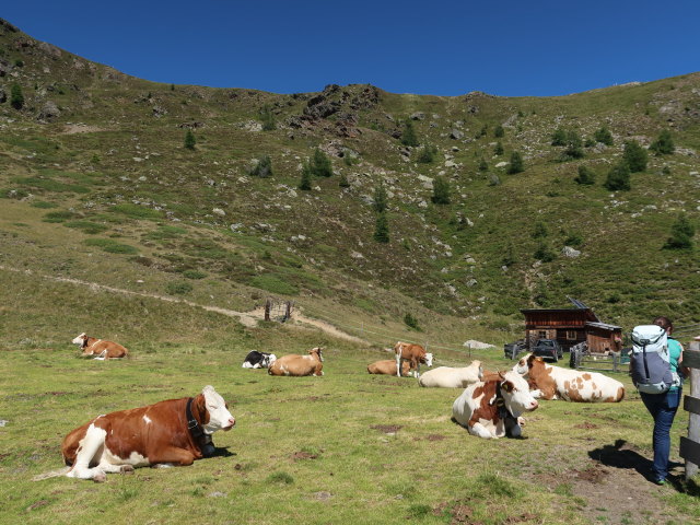 Sabine auf der &Auml;u&szlig;eren Alm (28. Juli)