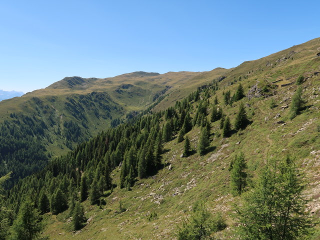 Sillianberger Alm (28. Juli)