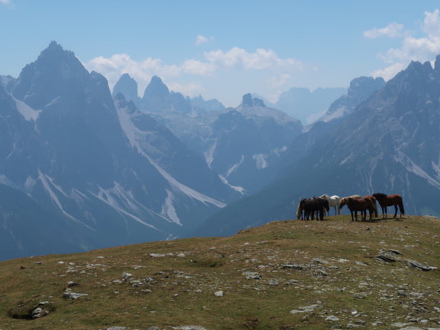 Sextener Dolomiten vom Strickberg aus (29. Juli)