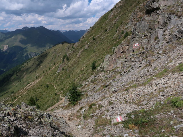 zwischen Marchenswand und Marchental (29. Juli)