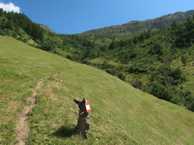 Marchental (29. Juli)