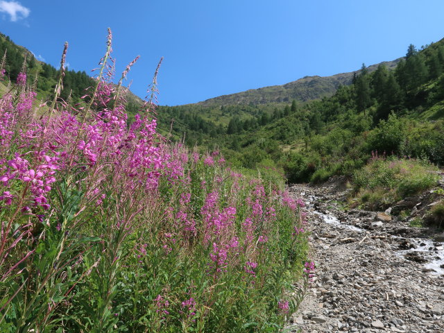 Marchental (29. Juli)