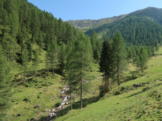 zwischen Marchental und Alfenalm (29. Juli)