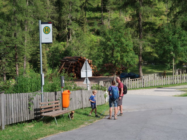 Haltestelle Innervillgraten Kalkstein, 1.639 m (29. Juli)