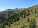 Sillianberger Alm (28. Juli)