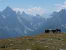Sextener Dolomiten vom Strickberg aus (29. Juli)