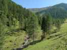 zwischen Marchental und Alfenalm (29. Juli)